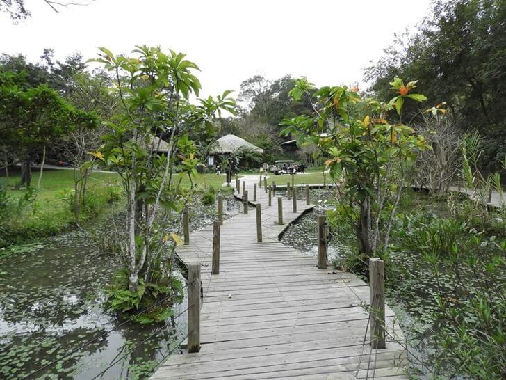 生態水池的木棧道